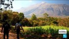 L'instant + : au Malawi, le mont Mulanje inscrit au patrimoine mondial de l'Unesco